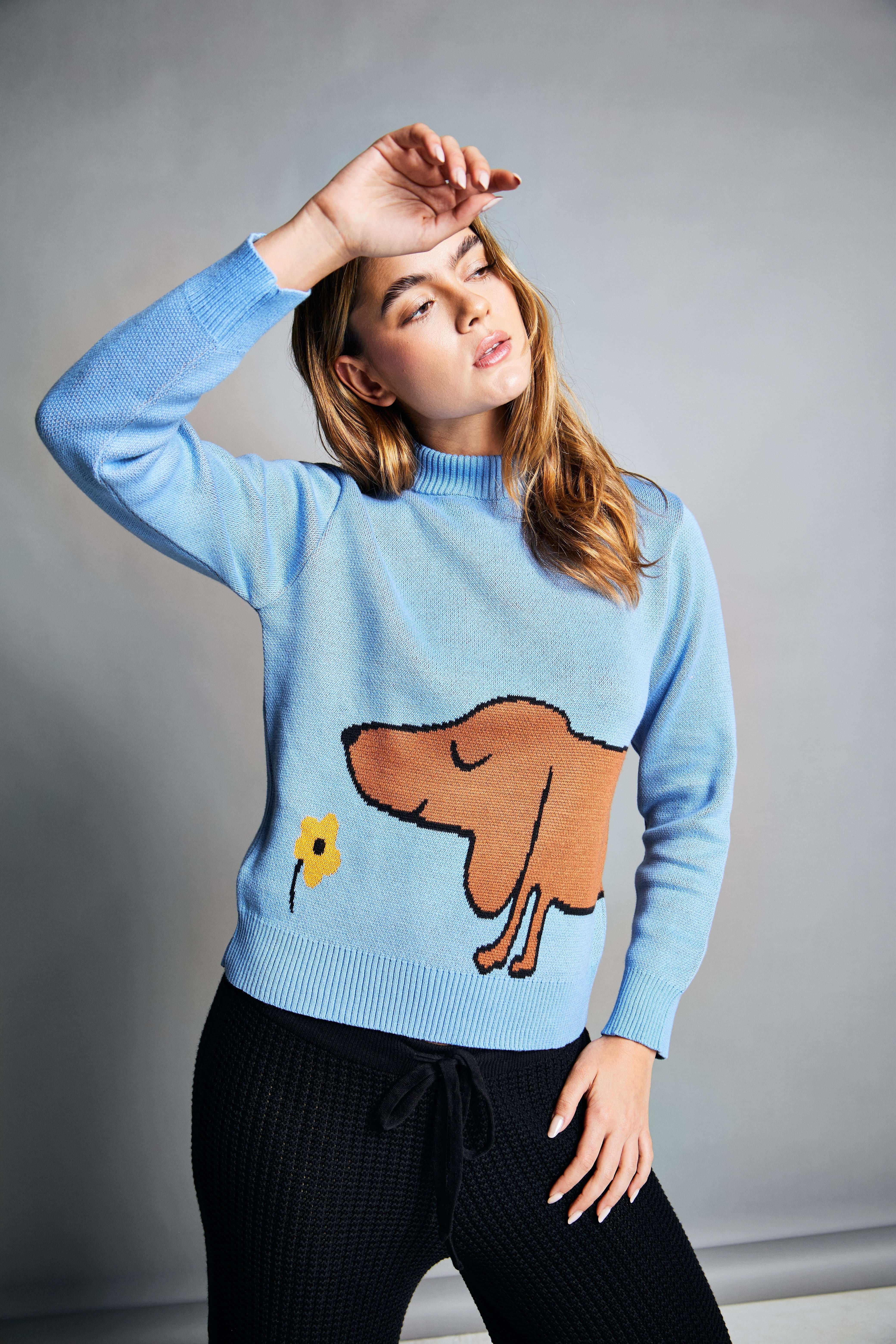 Suéter Dachshund - Alison