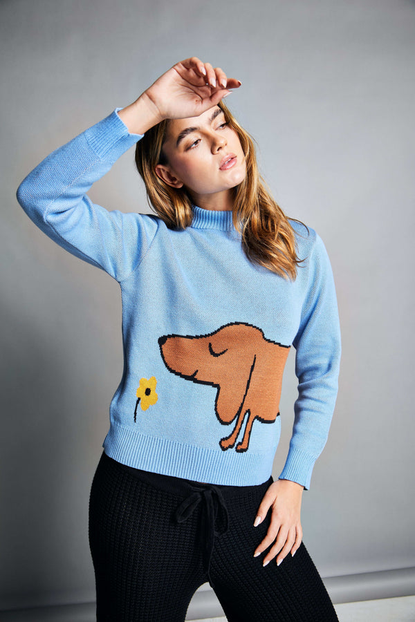 Suéter Dachshund