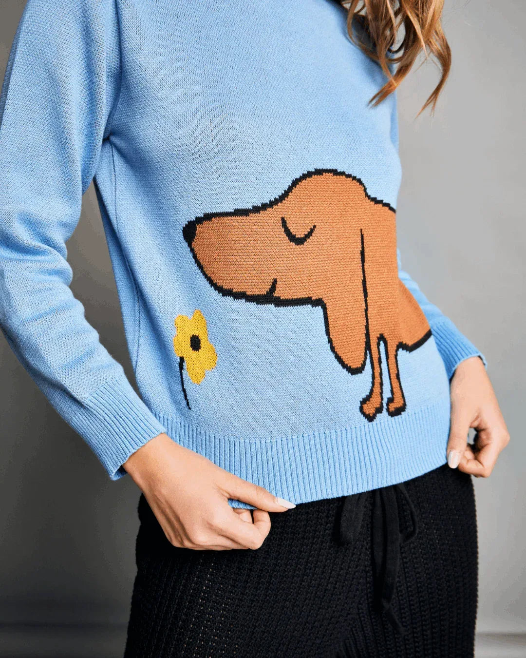 Suéter Dachshund - Alison