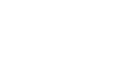 Alison